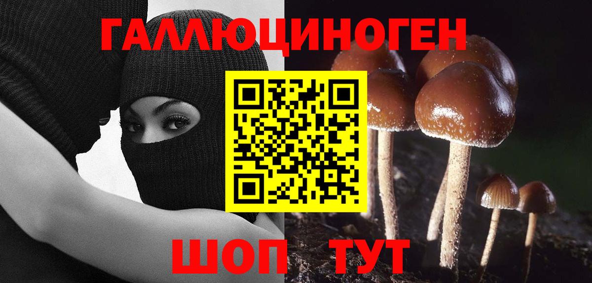 Галлюциногенные грибы Cubensis  Вход с VPN  где найти   Псилоцибиновые грибы Magic Shrooms  Десногорск 
